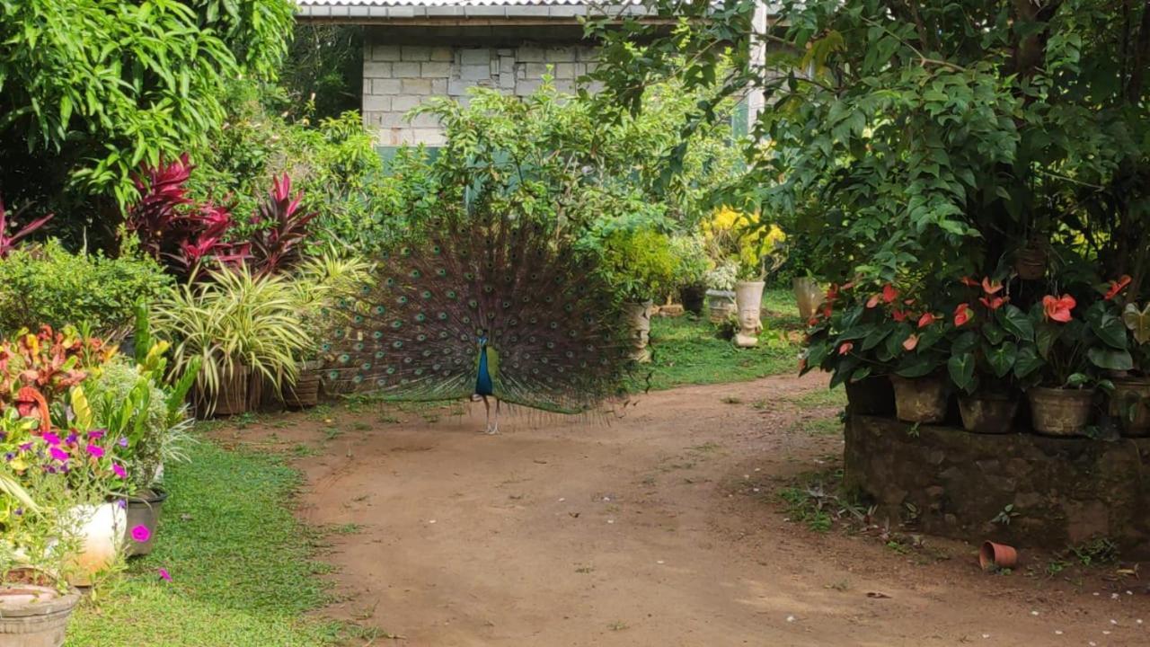 Bird House Villas Tangalle Exterior foto
